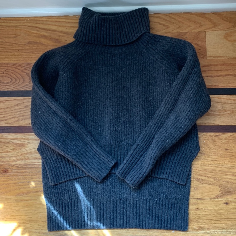 Cozy Aritzia Turtleneck